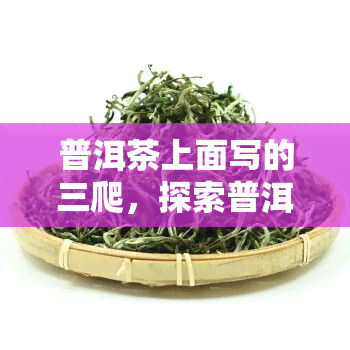 普洱茶上面写的三爬，探索普洱茶的奥秘：解读茶叶上的三爬标记