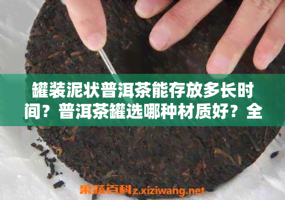 罐装泥状普洱茶能存放多长时间？普洱茶罐选哪种材质好？全图解析