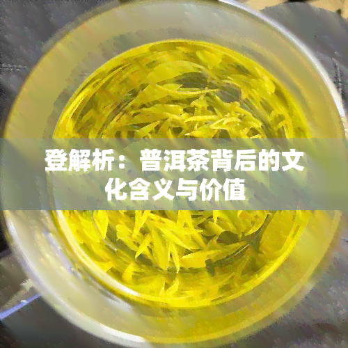 登解析：普洱茶背后的文化含义与价值