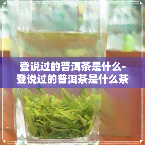 登说过的普洱茶是什么-登说过的普洱茶是什么茶