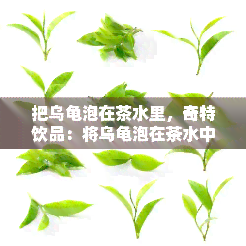 把乌龟泡在茶水里，奇特饮品：将乌龟泡在茶水中，口感如何？