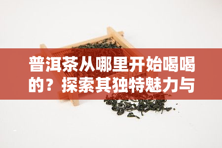 普洱茶从哪里开始喝喝的？探索其独特魅力与产地购买建议