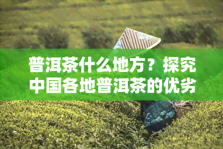 普洱茶什么地方？探究中国各地普洱茶的优劣与产地特色