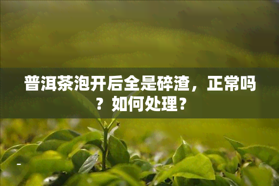 普洱茶泡开后全是碎渣，正常吗？如何处理？