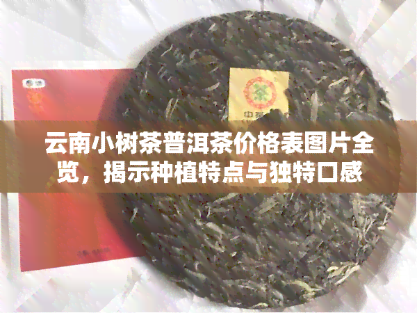 云南小树茶普洱茶价格表图片全览，揭示种植特点与独特口感