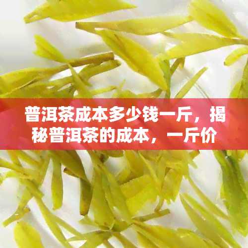 普洱茶成本多少钱一斤，揭秘普洱茶的成本，一斤价格究竟几何？