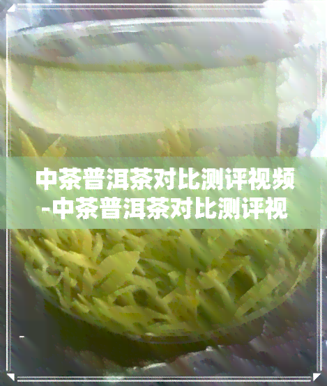 中茶普洱茶对比测评视频-中茶普洱茶对比测评视频讲解