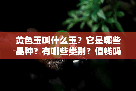 黄色玉叫什么玉？它是哪些品种？有哪些类别？值钱吗？它长什么样？