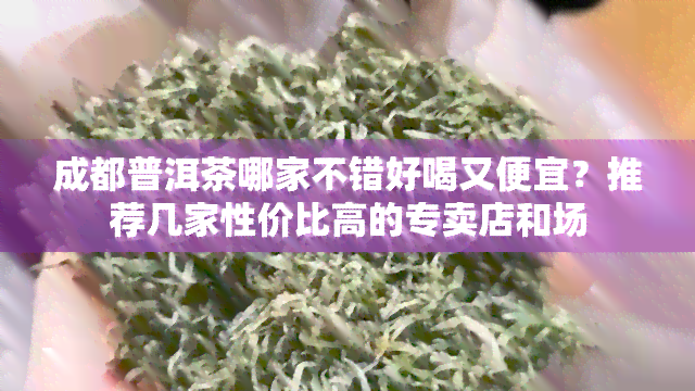 成都普洱茶哪家不错好喝又便宜？推荐几家性价比高的专卖店和场