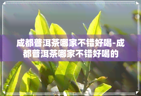 成都普洱茶哪家不错好喝-成都普洱茶哪家不错好喝的