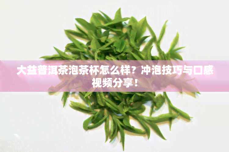 大益普洱茶泡茶杯怎么样？冲泡技巧与口感视频分享！