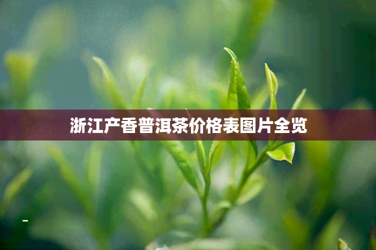 浙江产香普洱茶价格表图片全览