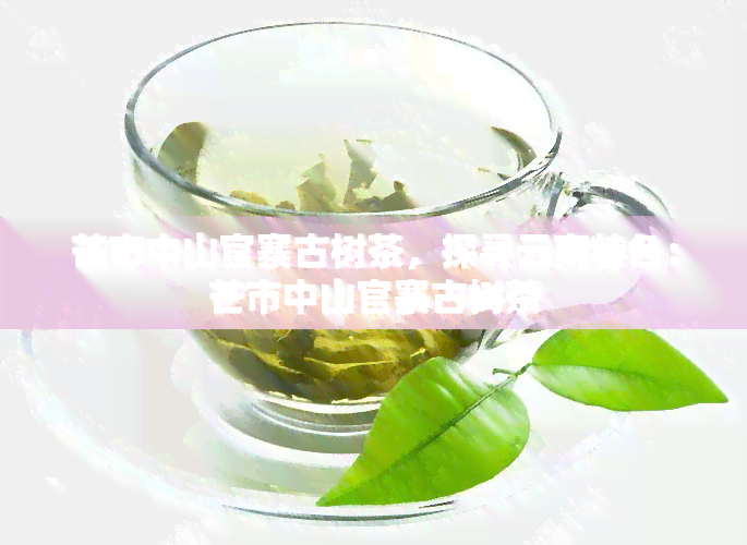 芒市中山官寨古树茶，探寻云南特色：芒市中山官寨古树茶