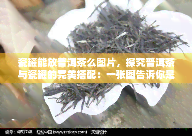 瓷罐能放普洱茶么图片，探究普洱茶与瓷罐的完美搭配：一张图告诉你是否可行