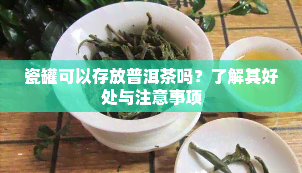 瓷罐可以存放普洱茶吗？了解其好处与注意事项