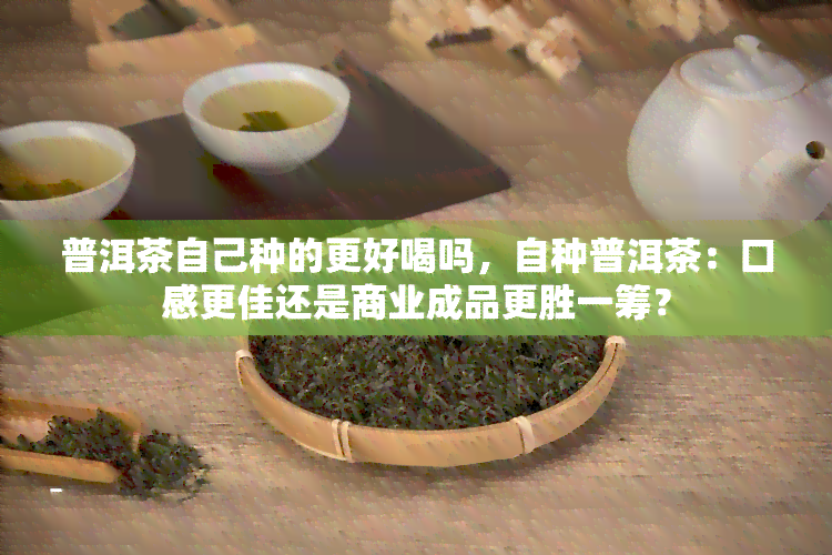 普洱茶自己种的更好喝吗，自种普洱茶：口感更佳还是商业成品更胜一筹？