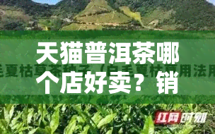 天猫普洱茶哪个店好卖？销量、、旗舰店排行一网打尽！