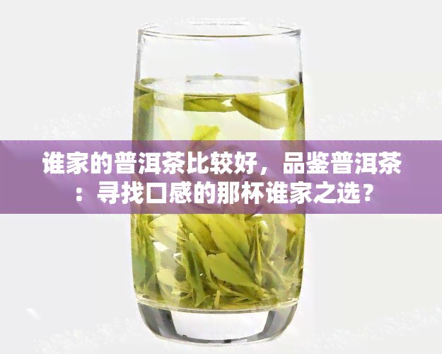 谁家的普洱茶比较好，品鉴普洱茶：寻找口感的那杯谁家之选？