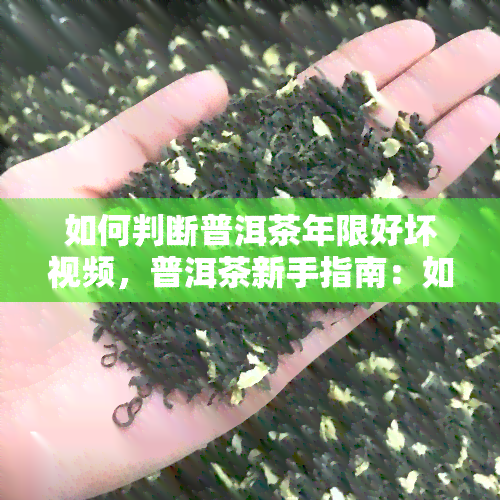 如何判断普洱茶年限好坏视频，普洱茶新手指南：如何准确判断茶叶的年限和品质？看这一视频就明白了！