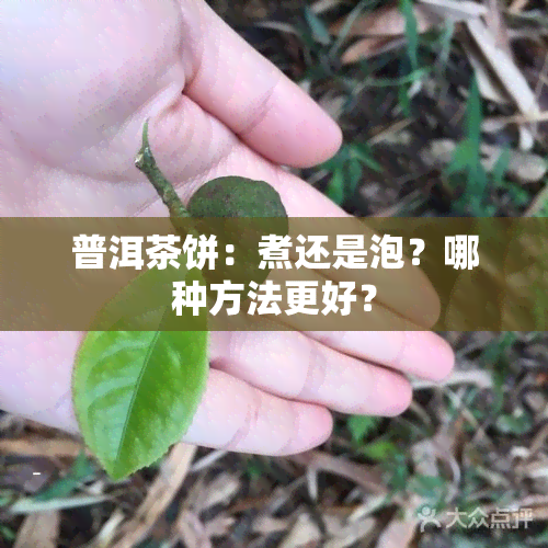 普洱茶饼：煮还是泡？哪种方法更好？