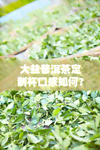 大益普洱茶定制杯口感如何？好喝吗？价格多少？视频评测在此！