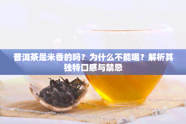 普洱茶是米香的吗？为什么不能喝？解析其独特口感与禁忌