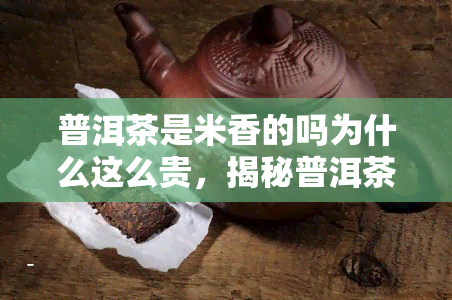 普洱茶是米香的吗为什么这么贵，揭秘普洱茶的米香味和高昂价格的背后原因