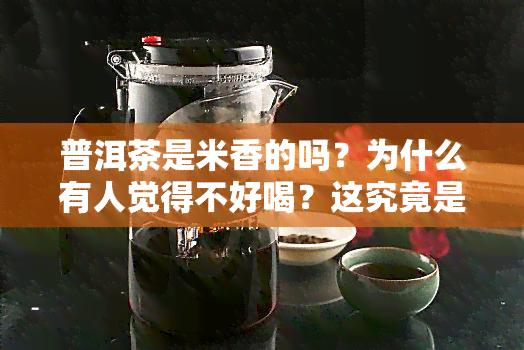 普洱茶是米香的吗？为什么有人觉得不好喝？这究竟是什么原因导致的呢？