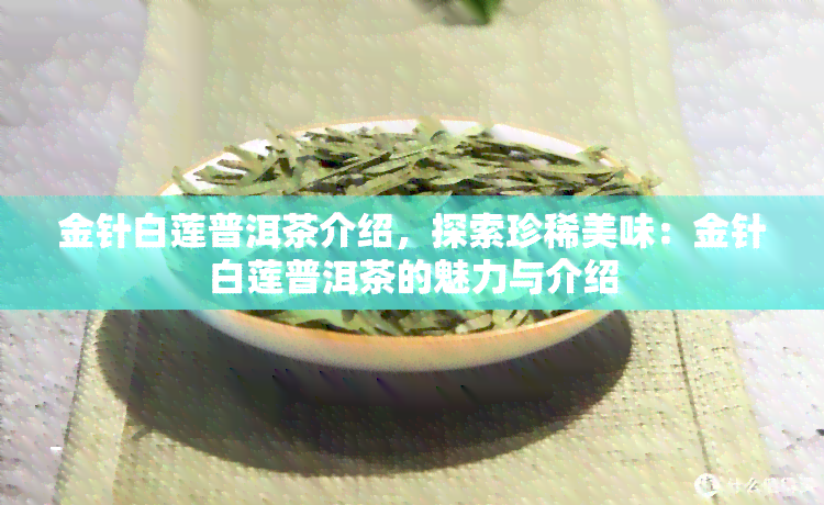 金针白莲普洱茶介绍，探索珍稀美味：金针白莲普洱茶的魅力与介绍