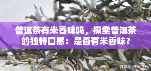 普洱茶有米香味吗，探索普洱茶的独特口感：是否有米香味？