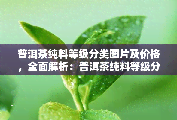 普洱茶纯料等级分类图片及价格，全面解析：普洱茶纯料等级分类图片及价格指南