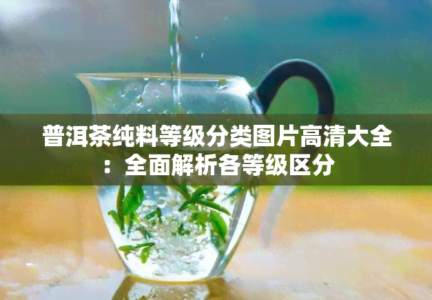 普洱茶纯料等级分类图片高清大全：全面解析各等级区分