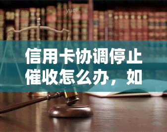 信用卡协调停止怎么办，如何处理信用卡协调停止的情况？