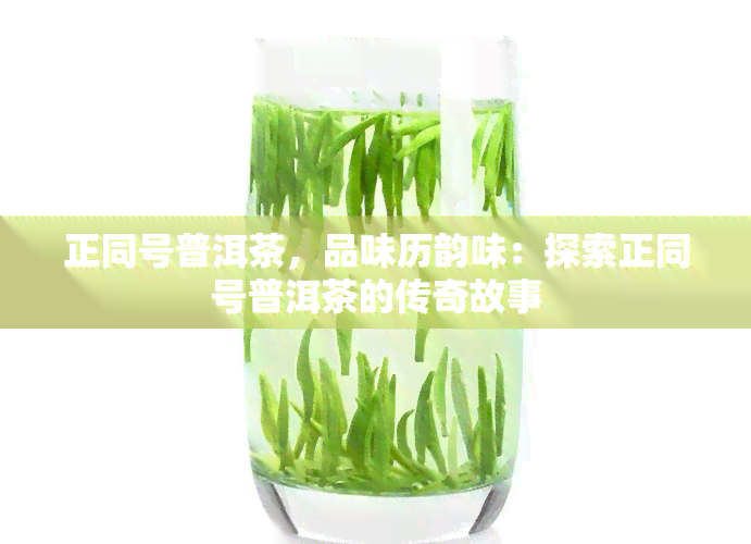 正同号普洱茶，品味历韵味：探索正同号普洱茶的传奇故事