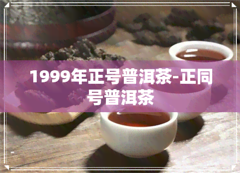 1999年正号普洱茶-正同号普洱茶