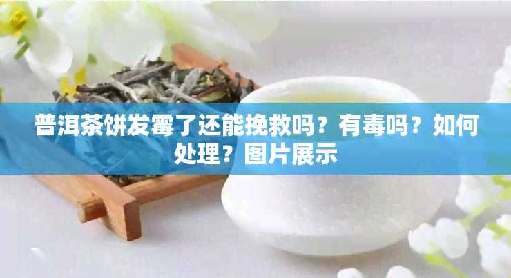 普洱茶饼发霉了还能挽救吗？有吗？如何处理？图片展示