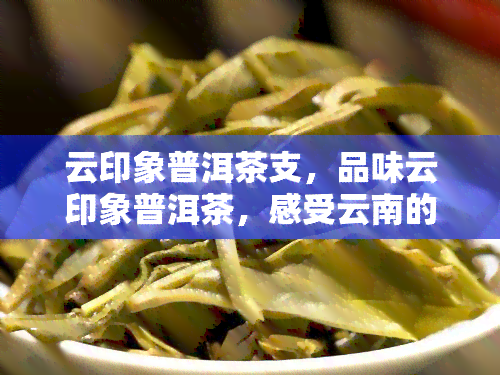 云印象普洱茶支，品味云印象普洱茶，感受云南的韵味与风情