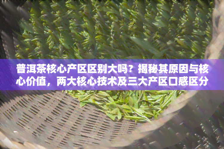 普洱茶核心产区区别大吗？揭秘其原因与核心价值，两大核心技术及三大产区口感区分