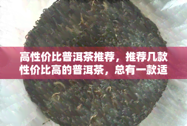 高性价比普洱茶推荐，推荐几款性价比高的普洱茶，总有一款适合你！