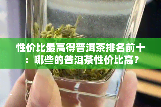 性价比更高得普洱茶排名前十：哪些的普洱茶性价比高？