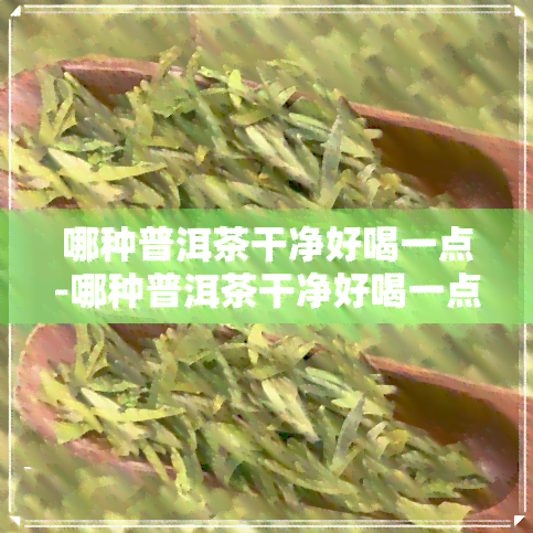 哪种普洱茶干净好喝一点-哪种普洱茶干净好喝一点呢