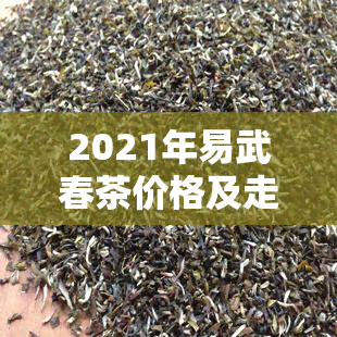 2021年易武春茶价格及走势：近十年对比与特点分析