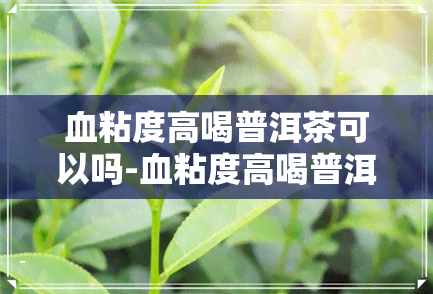 血粘度高喝普洱茶可以吗-血粘度高喝普洱茶可以吗女性