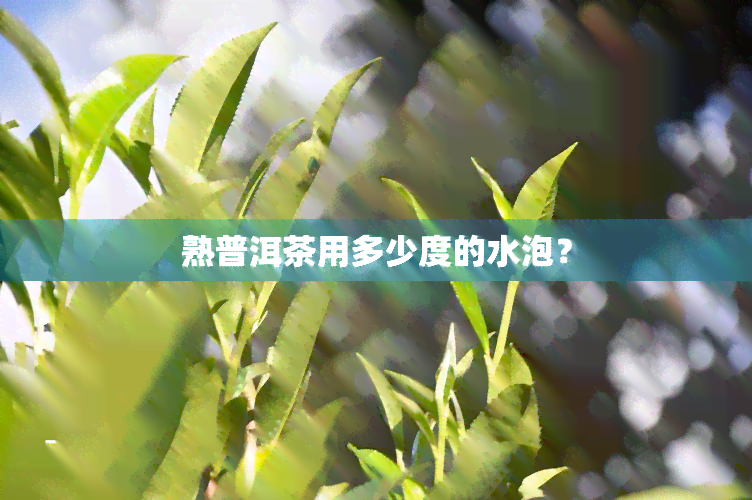 熟普洱茶用多少度的水泡？