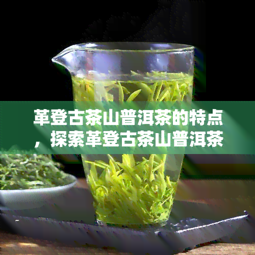 革登古茶山普洱茶的特点，探索革登古茶山普洱茶的独特魅力