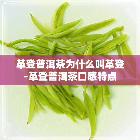 革登普洱茶为什么叫革登-革登普洱茶口感特点