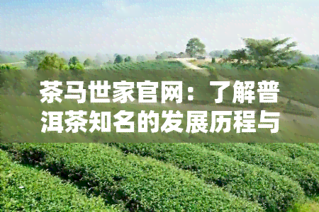 茶马世家官网：了解普洱茶知名的发展历程与产品特色