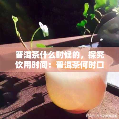 普洱茶什么时候的，探究饮用时间：普洱茶何时口感？