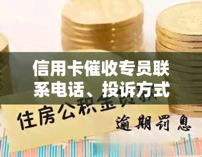 信用卡专员联系电话、投诉方式及职业前景分析