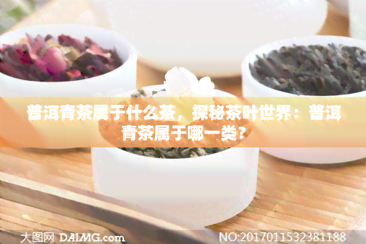 普洱青茶属于什么茶，探秘茶叶世界：普洱青茶属于哪一类？